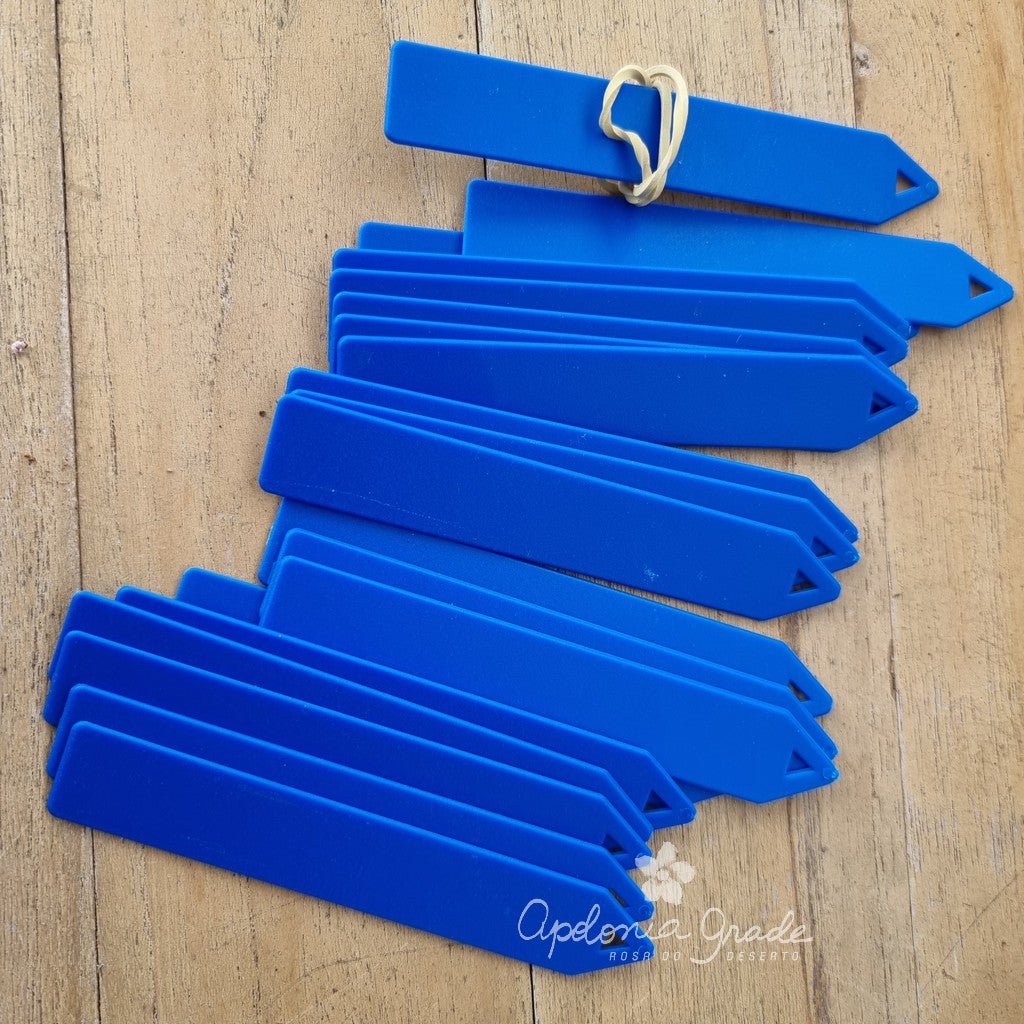 ETIQUETA AZUL| COM 100 UNIDADES - Apolonia Grade