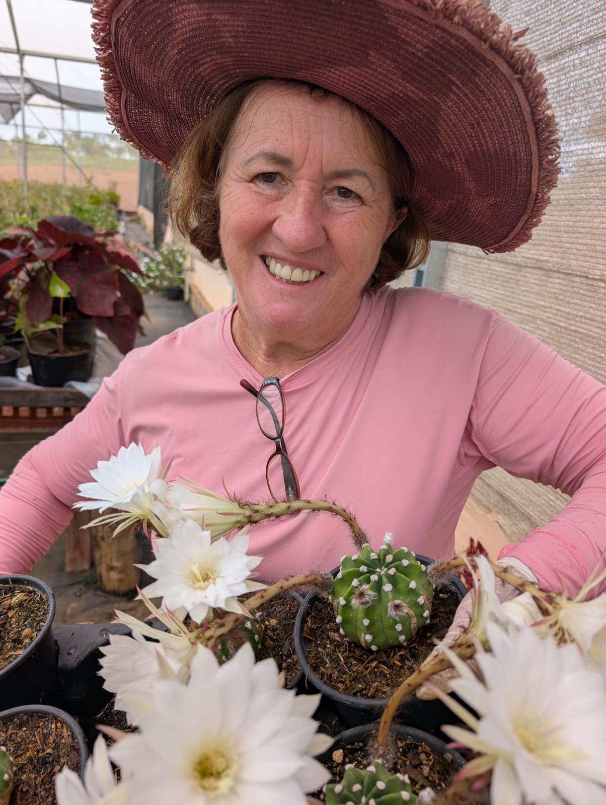 CACTO ECHINOPSIS SUBDENUDATA | FLOR BRANCA - Apolonia Grade