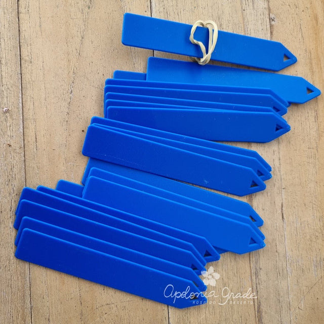 ETIQUETA AZUL| COM 100 UNIDADES - Apolonia Grade