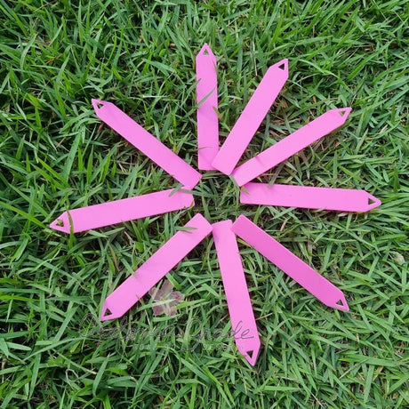 ETIQUETA ROSA | COM 100 UNIDADES - Apolonia Grade