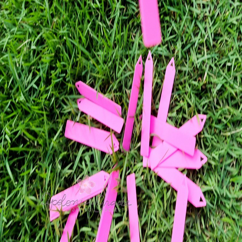 ETIQUETA ROSA | COM 20 UNIDADES - Apolonia Grade