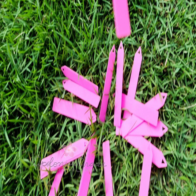 ETIQUETA ROSA | COM 20 UNIDADES - Apolonia Grade